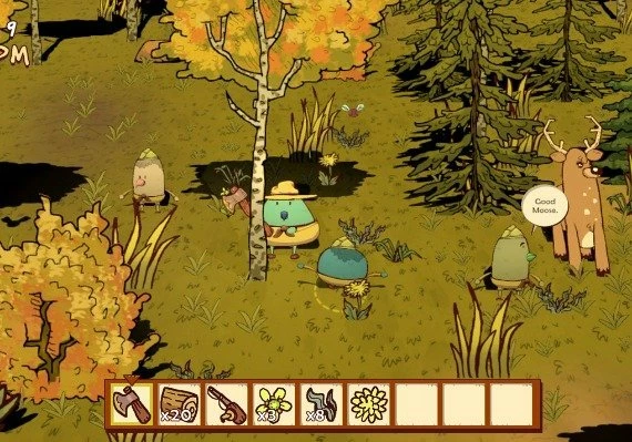 Camp Canyonwood EN Global