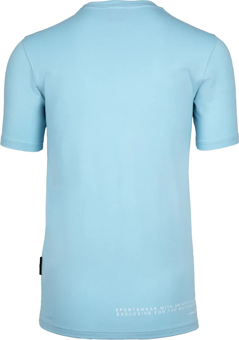 Swanton T-Shirt - Blue 