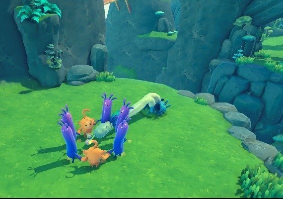 Derpy Conga Global