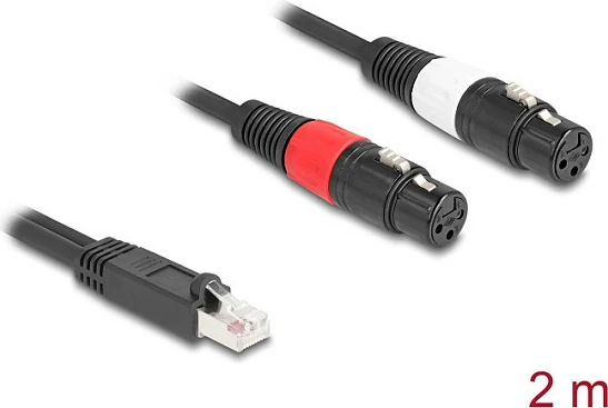 Kablë adapter DeLOCK 88176, RJ-45 në 2x XLR 3-pin, 2 m, e zezë