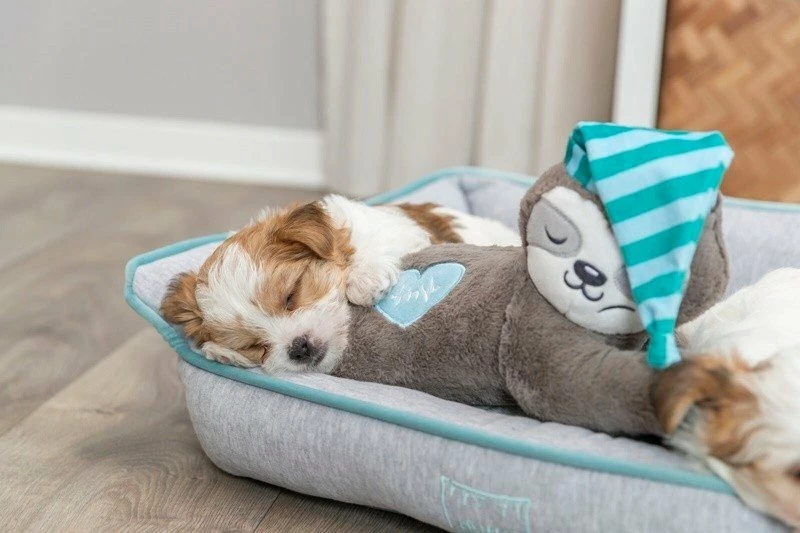 Lodër plush për qen Trixie TX-36166, përtac me rrahje zemre, 34 cm, bateri LR44, shumëngjyrëshe