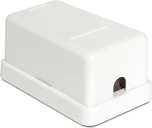 Kuti Keystone DeLOCK 86226, 1 modul, e bardhë