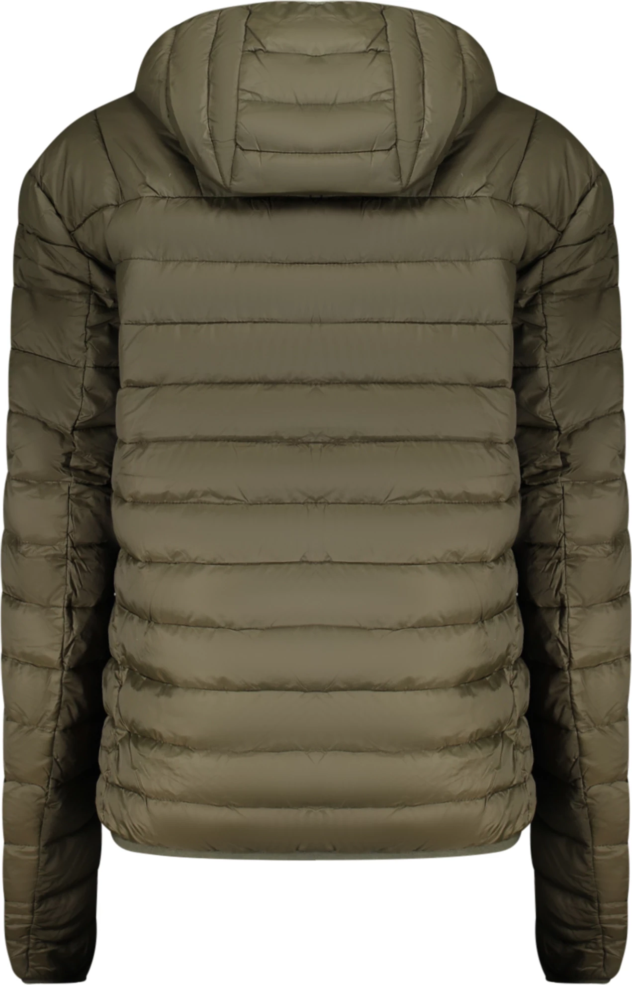 Jakne për meshkuj CAVALLI CLASS, e gjelbër