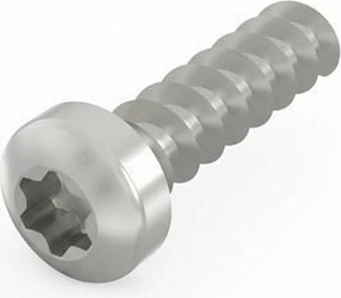 Vidë Torx SCHROFF LIKOSCHR-TORX 2.5x9.3, 100 copë, argjendtë