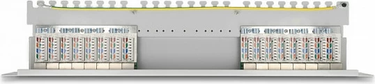 Patch panel DeLOCK 19" 16 port Cat.6A 1U, i hirtë