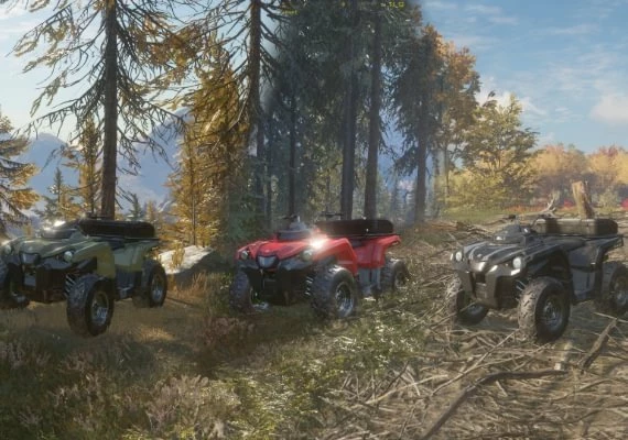 theHunter: Call of the Wild: ATV SABER 4X4 DLC Global