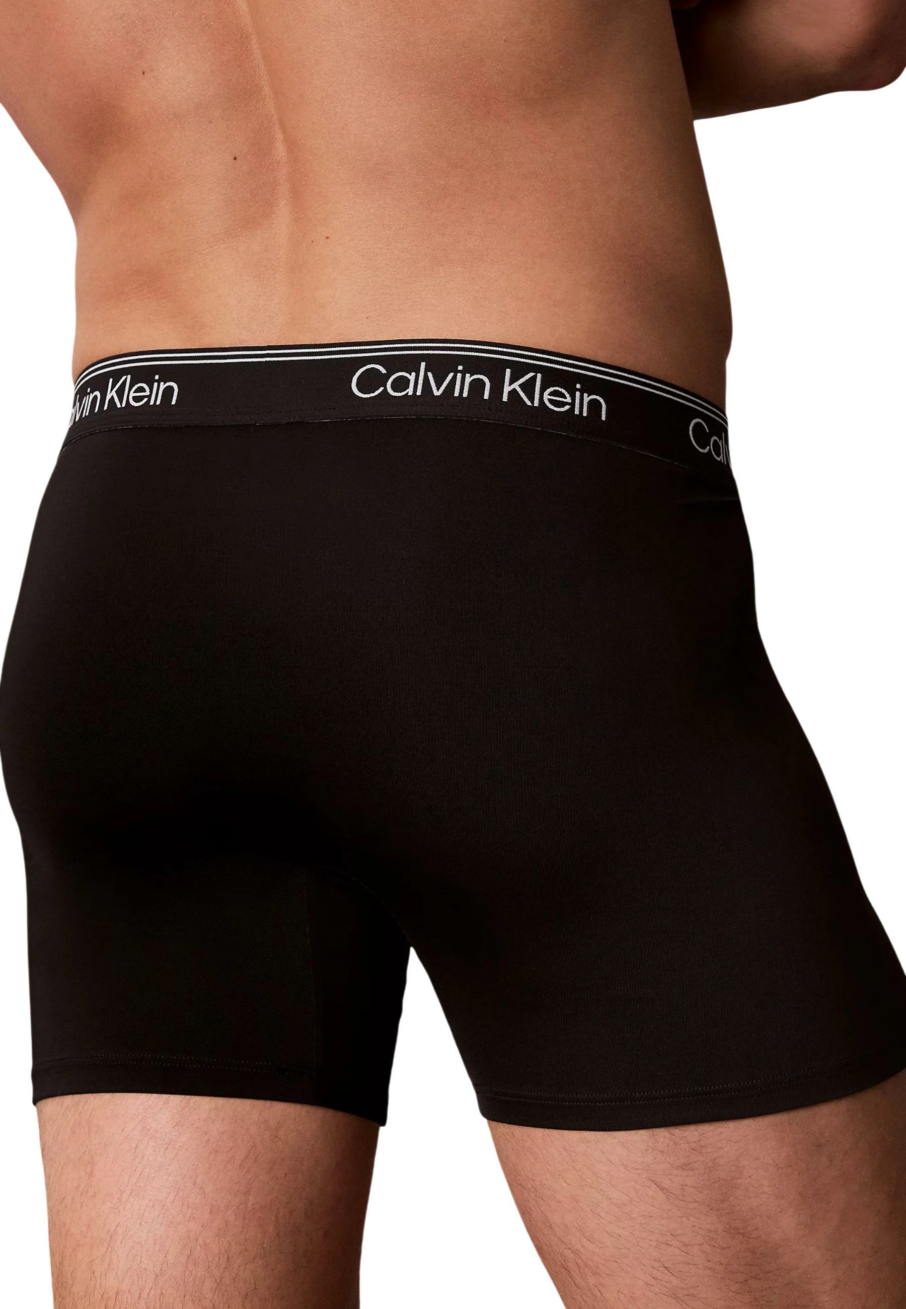 Të brendshme për meshkuj Calvin Klein Underwear LV00NB4410, gri e çelët [Madhësia: XL]