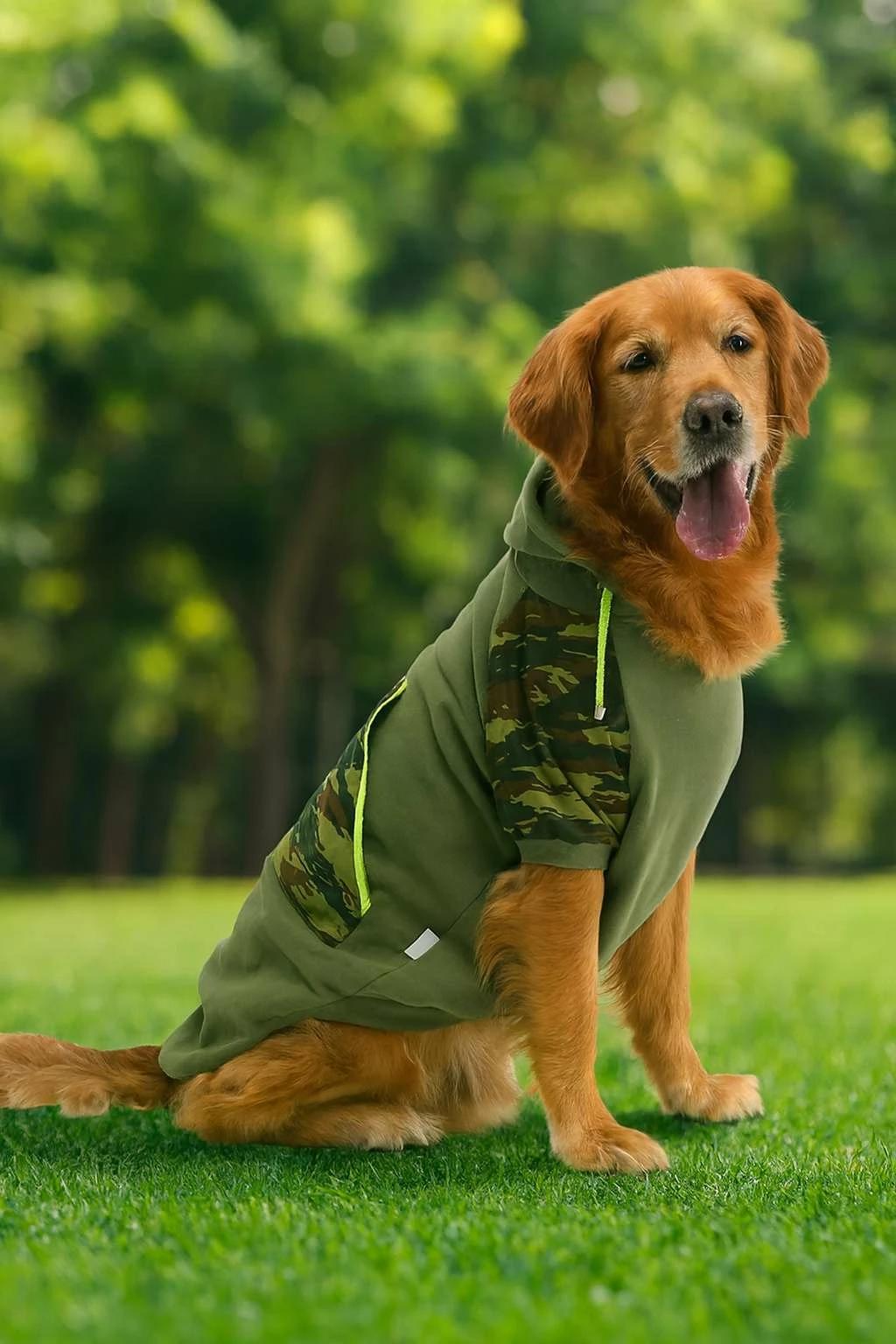 Bluzë me kapuç për qen, Paws & Whiskers, ngjyrë kaki, Askersweat