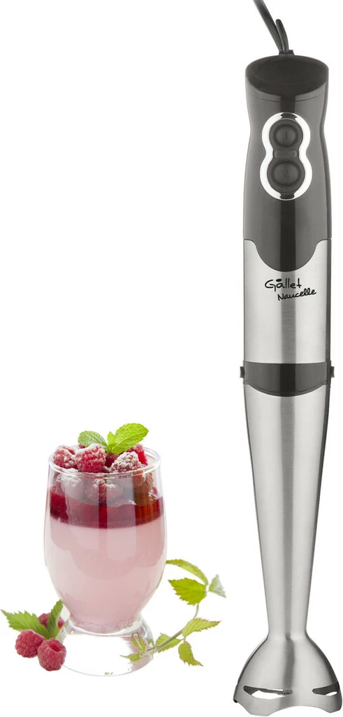 Blender Dore GALLET GALMIX415