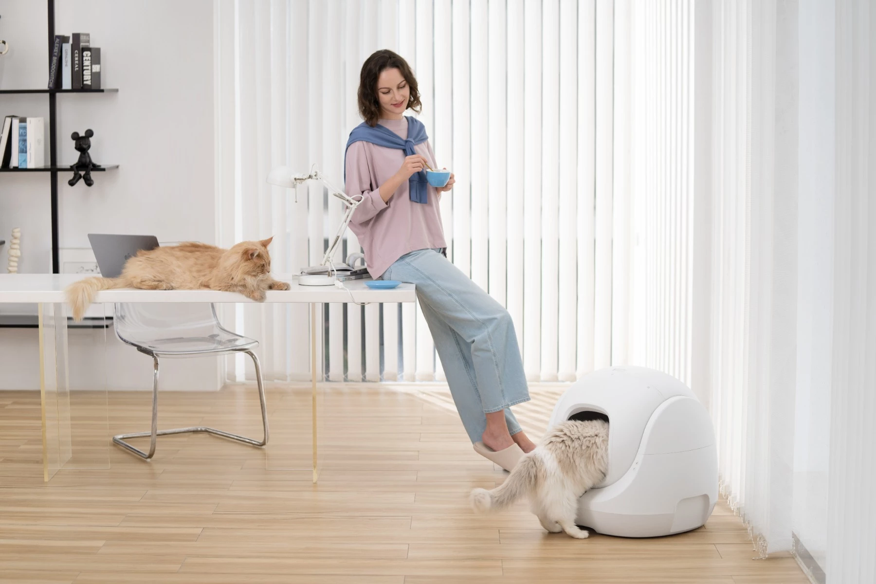 Kuti inteligjente vetëpastruese për rërë mace Catlink Baymax, WiFi, 7 L, e bardhë