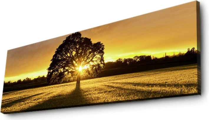 Pikturë dekorative në kanavacë me drita LED, shumëngjyrëshe, Wallity 3090DACT-68, 30x90cm