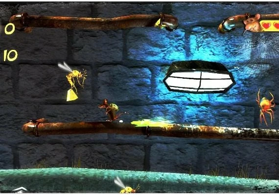Dongo Adventure EN/PT Global