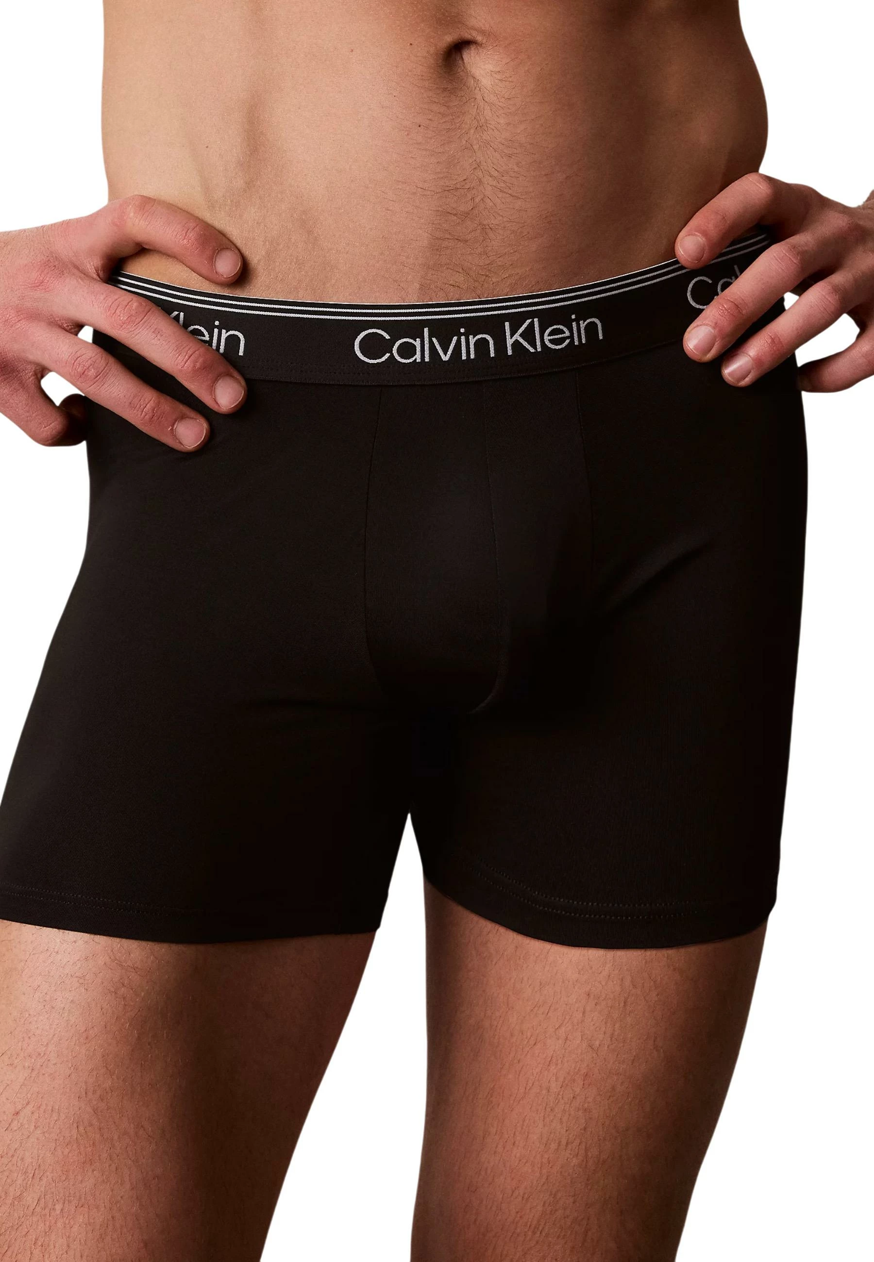 Të brendshme për meshkuj Calvin Klein Underwear LV00NB4410, gri e çelët [Madhësia: XL]