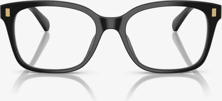 Korniza optike Ralph RA7174U 5001 55