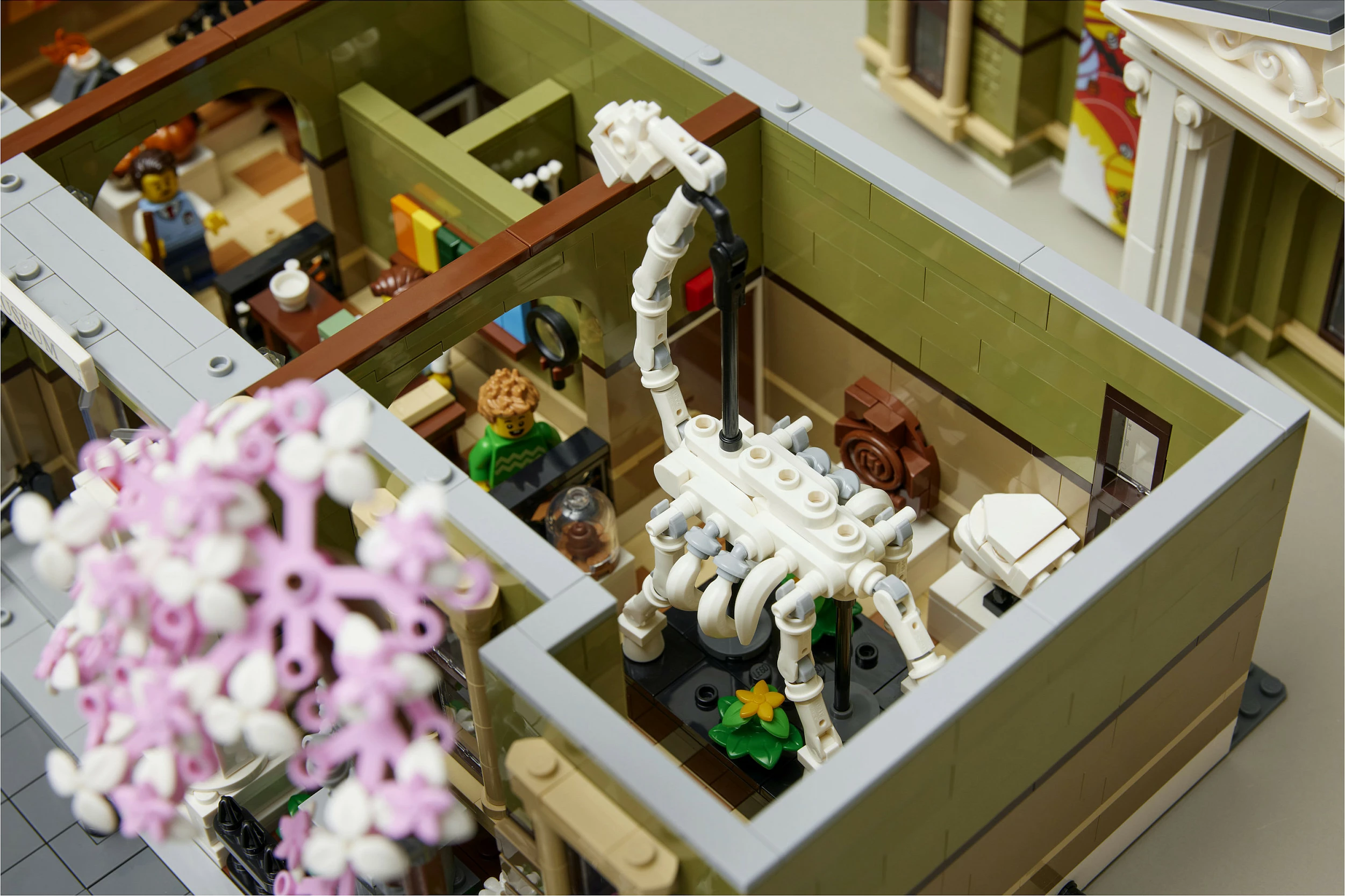 Set ndërtimi LEGO Natural History Museum, 4014 pjesë, për të rritur, plastikë, shumëngjyrësh