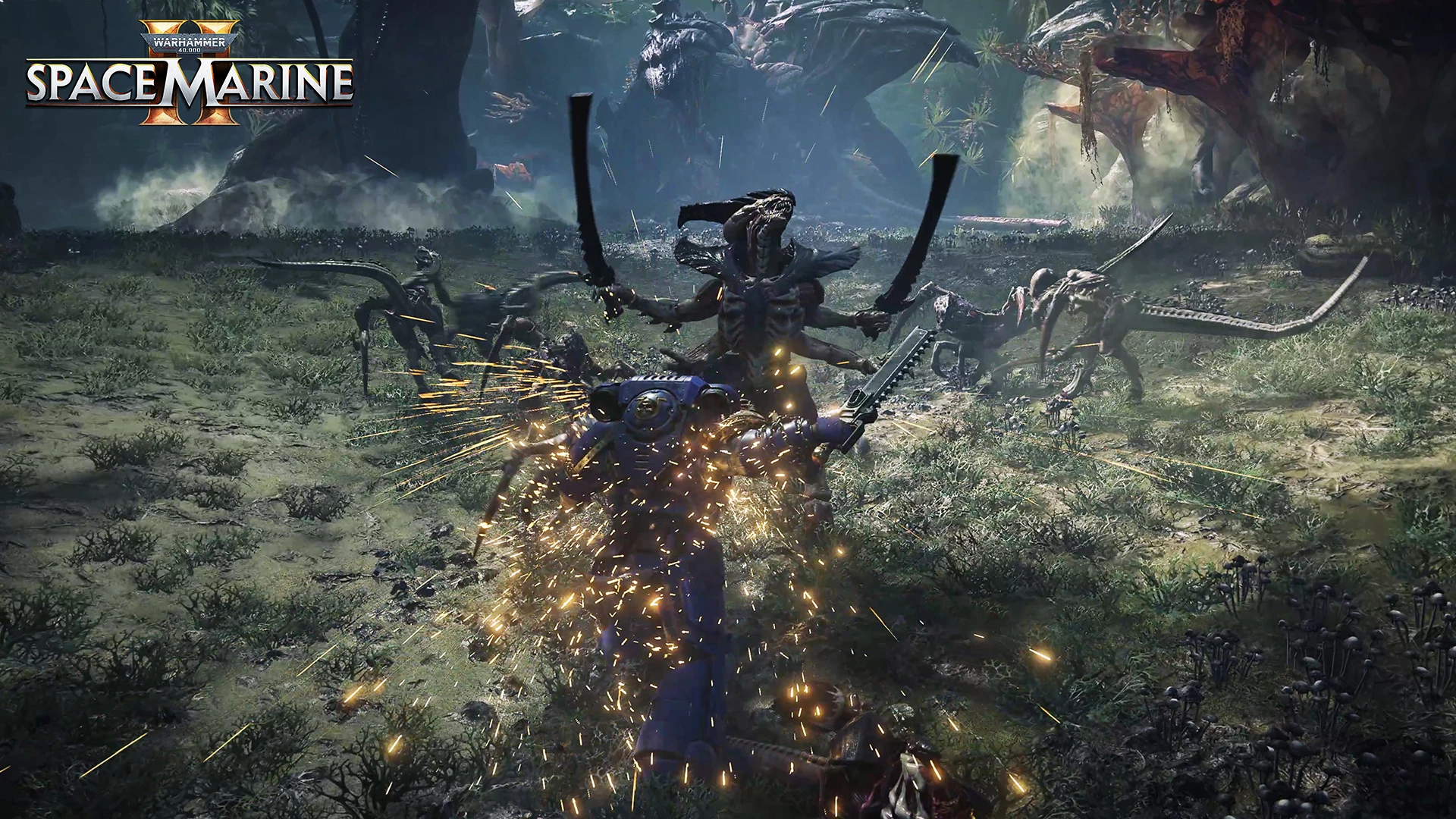 Lojë PS5 Focus Entertainment Warhammer 40,000: Space Marine 2, PEGI 18