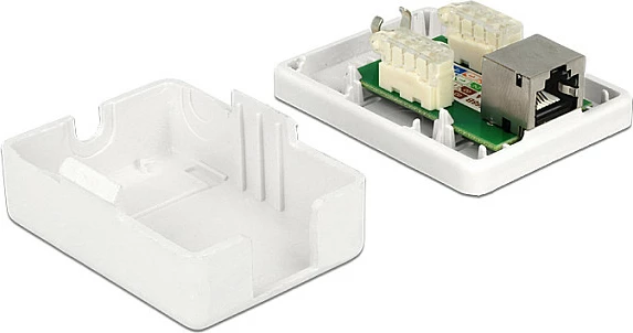Prizë rrjeti DeLOCK 86169, RJ-45, 1 portë, montim sipërfaqësor, e bardhë