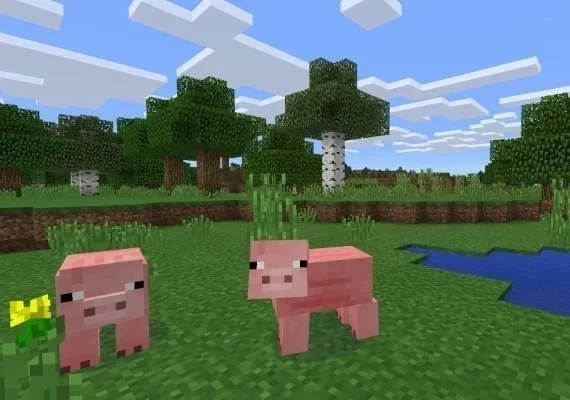 Minecraft 500 Minecoins