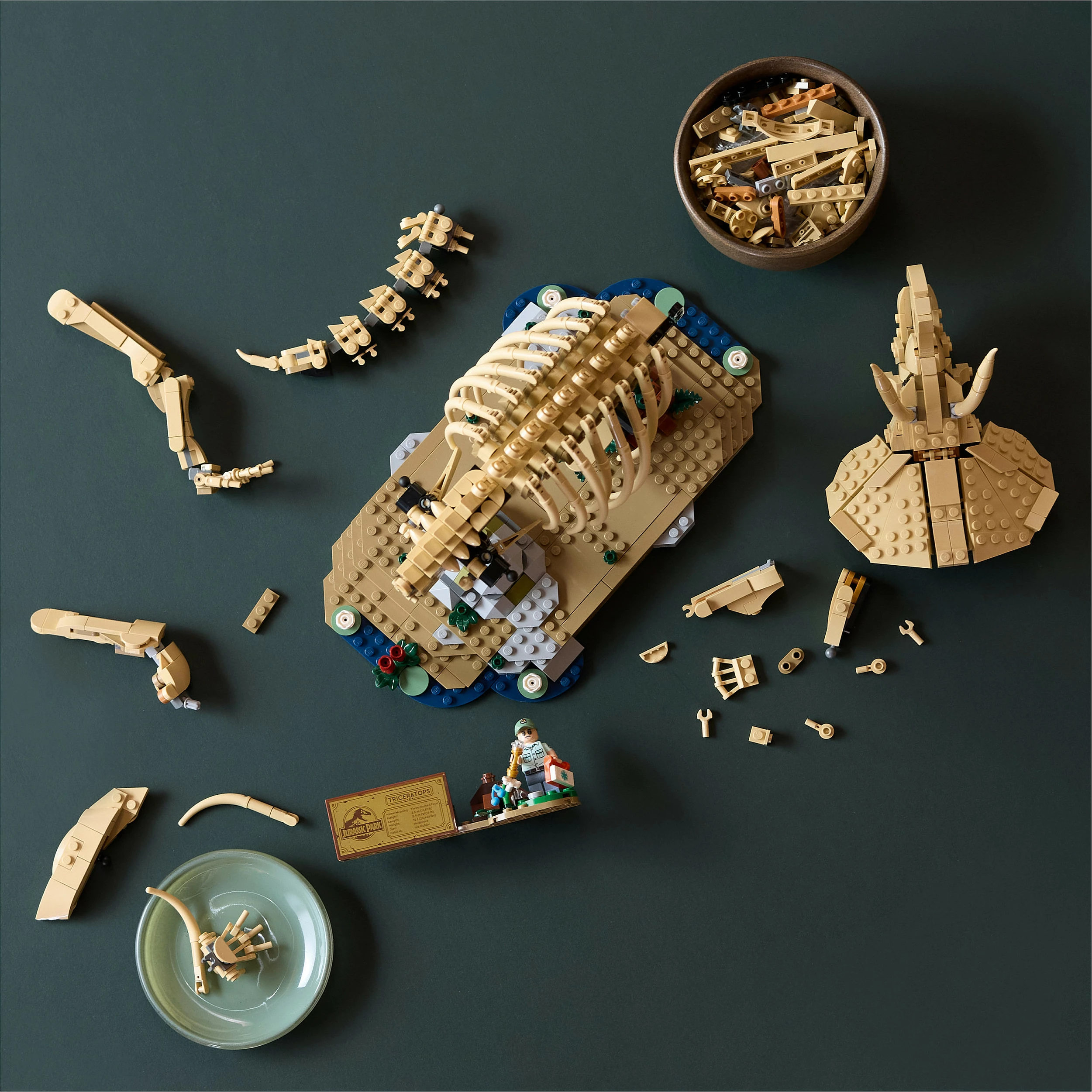 Set ndërtimi LEGO 77985 Dinosaur Fossil Triceratops, 1154 copë, 18+, multikolor