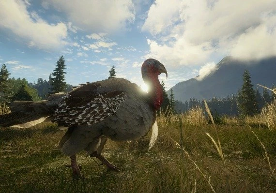 theHunter: Call of the Wild - Silver Ridge Peaks DLC Global
