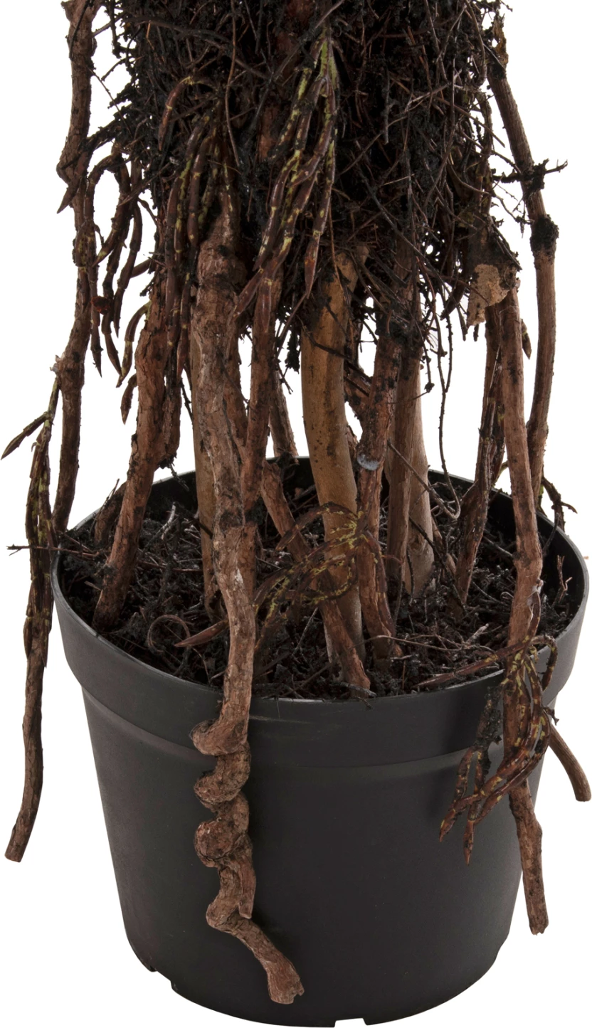 Bimë sintetike dekorative, pema Sisal në vazo, FH7989, 200H cm