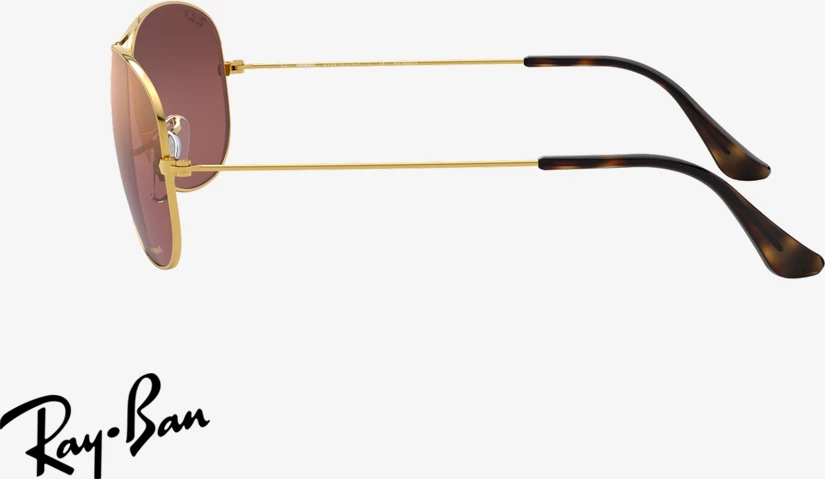 Syze dielli unisex Ray-Ban RB3562 001/6B 59