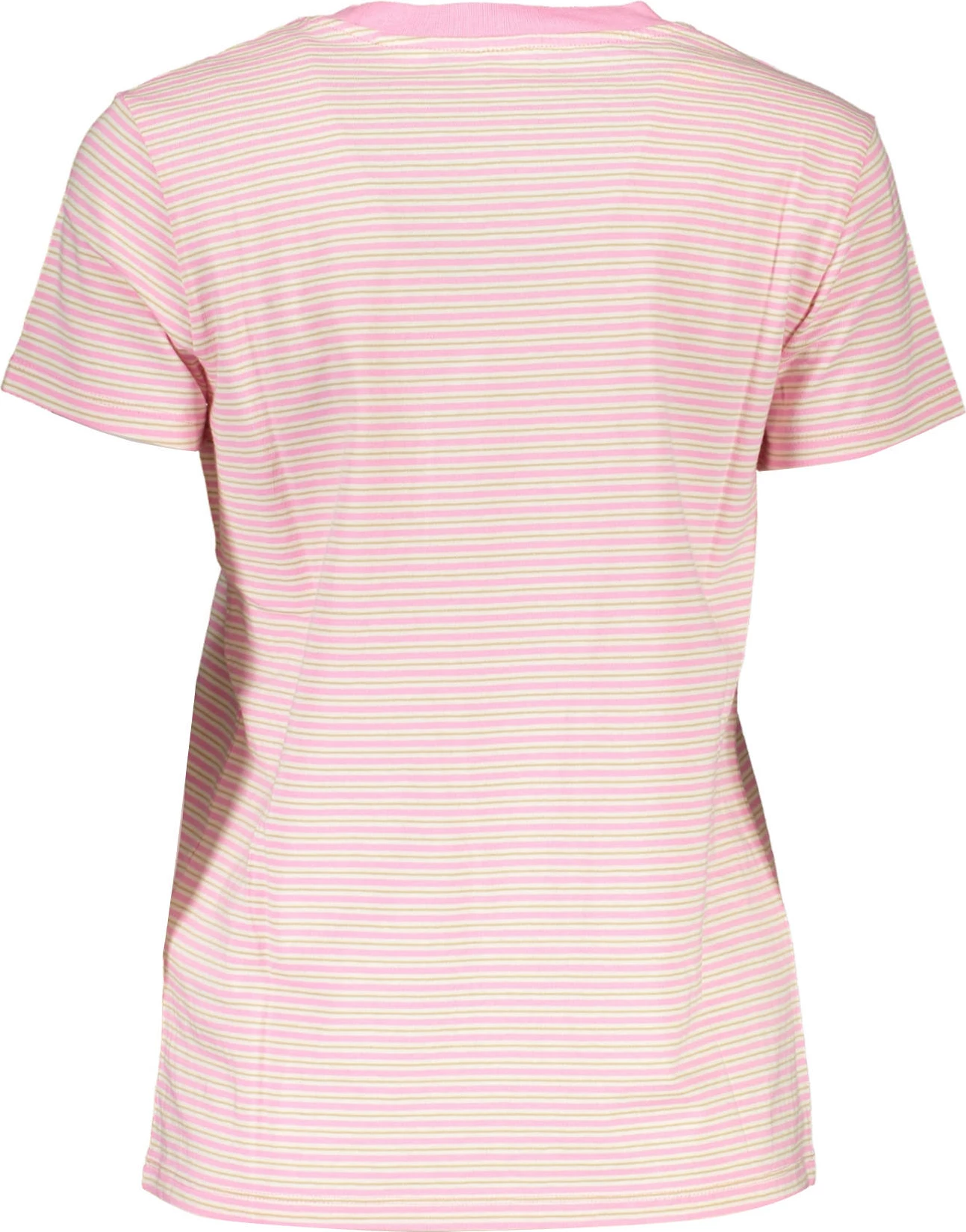 Maicë Levi's femra, rozë