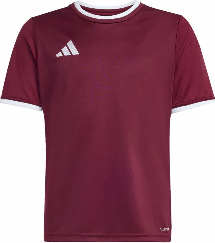 Fanellë futbolli për fëmijë adidas Entrada 26 JZ2530, burgundy [Madhësia: 152 cm]