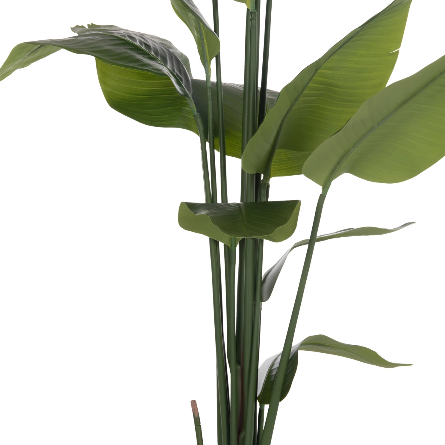 Bimë sintetike dekorative në vazo, Strelitzia, FH4739, Φ18x172cm