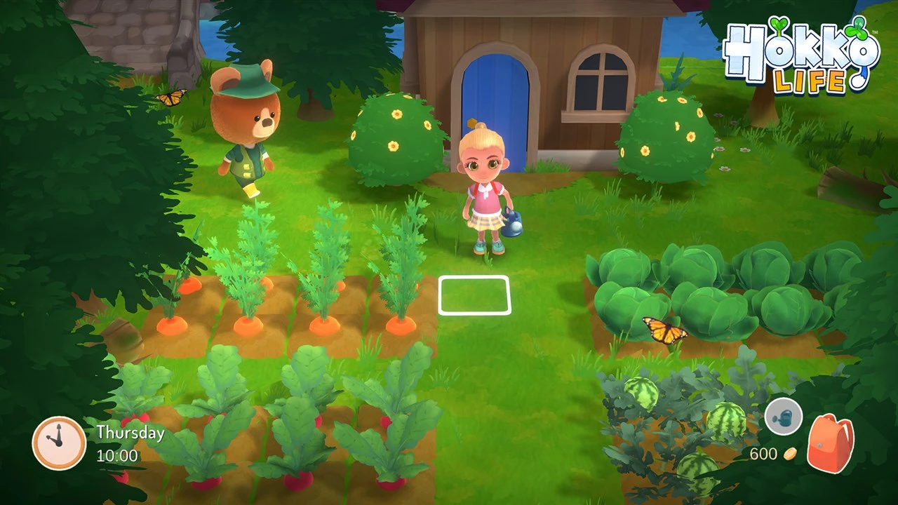 Lojë Nintendo Switch Fireshine Games Hokko Life, PEGI 3
