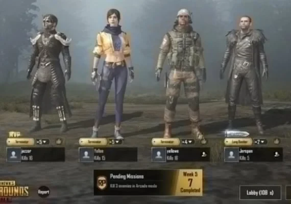 PUBG Mobile GLOBAL 300 + 25 Unknown Cash
