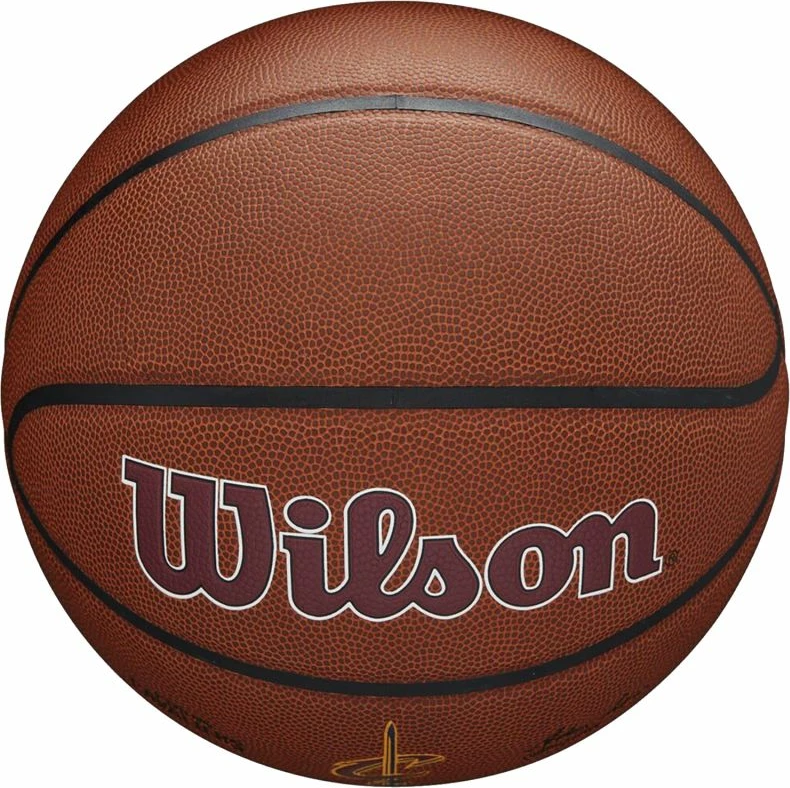 Top Basketbolli Wilson për meshkuj, femra dhe fëmijë [Madhësia: 7]