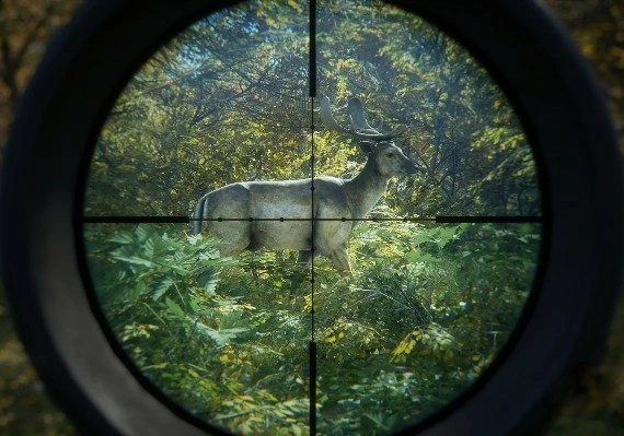 theHunter: Call of the Wild - Greenhorn Bundle Global
