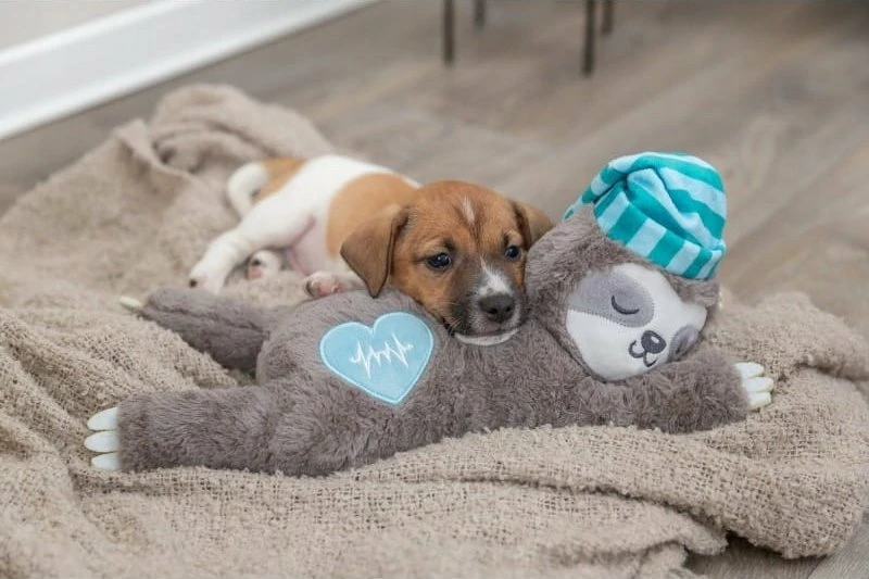 Lodër plush për qen Trixie TX-36166, përtac me rrahje zemre, 34 cm, bateri LR44, shumëngjyrëshe