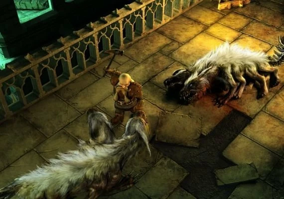 Demonicon: The Dark Eye EN Global