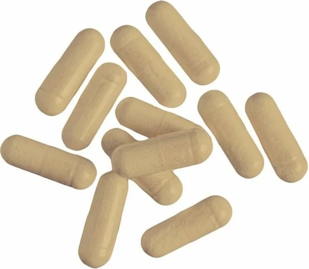 Inosine Kapsula 100