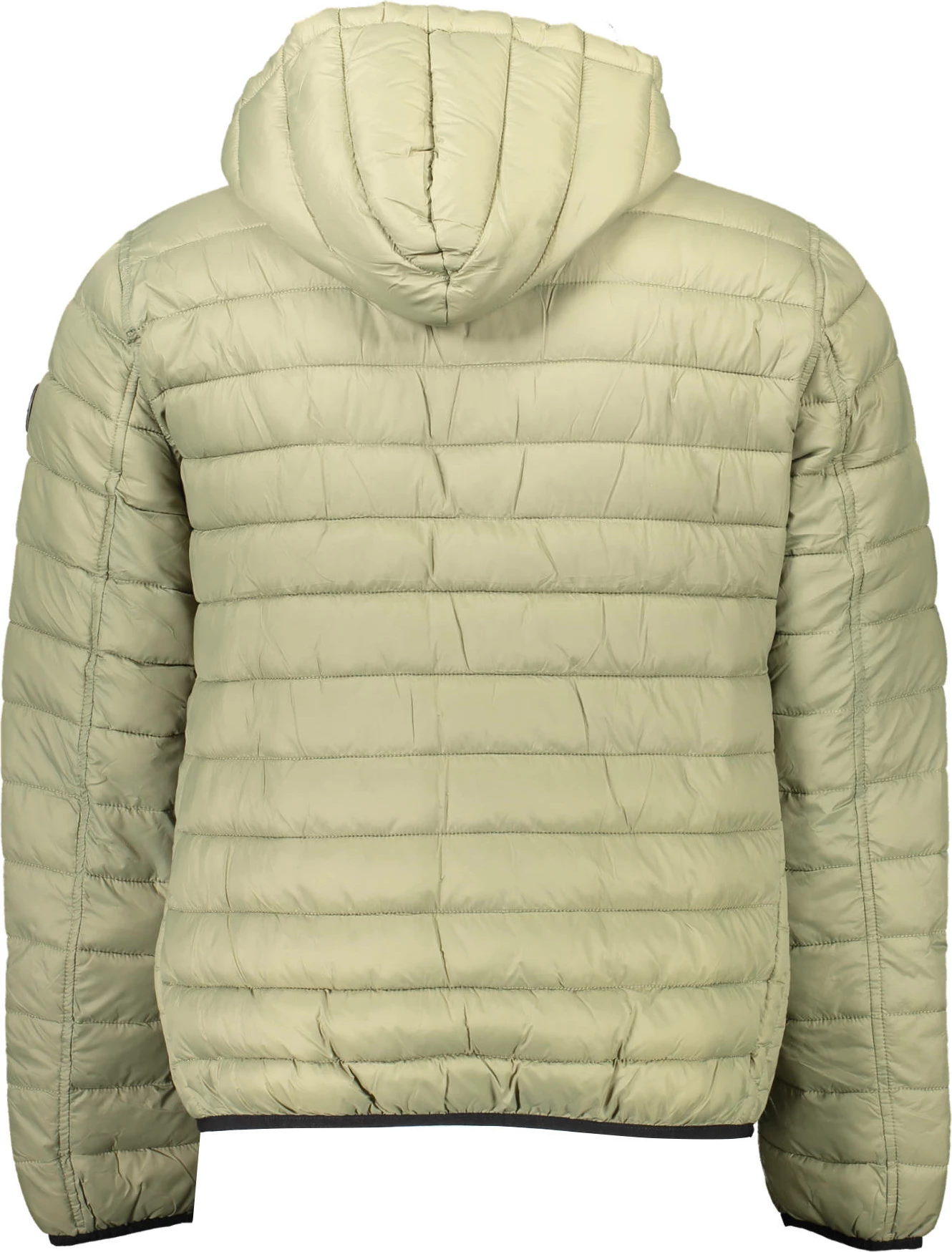 Jakne për meshkuj US Polo Assn, e gjelbër