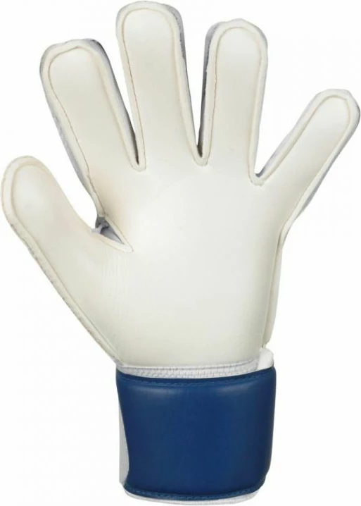 Dorëza portieri për meshkuj Select, blu