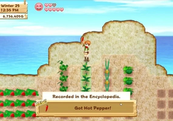 Harvest Moon: Light of Hope Special Edition EN Global