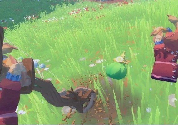 Winds & Leaves VR Global