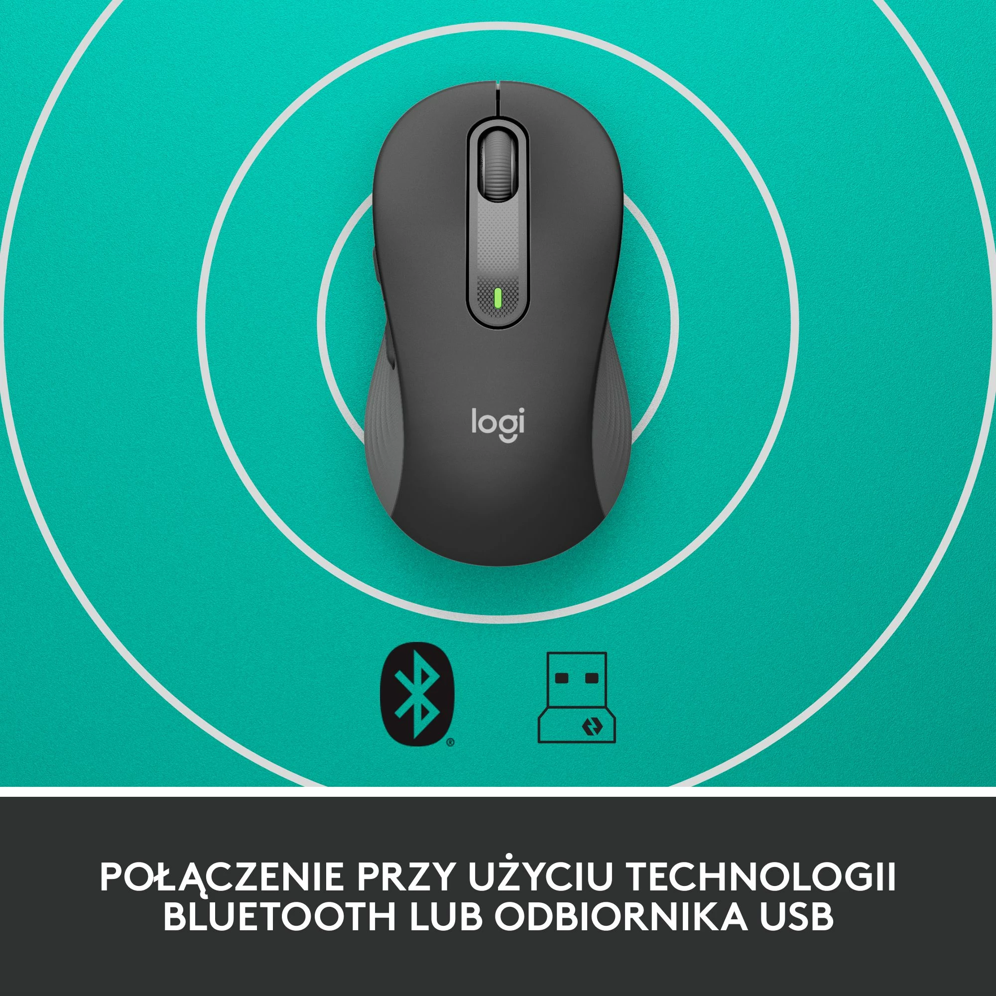 Maus Logitech Signature M650 L (910-006236) 2000 DPI wireless Graphite