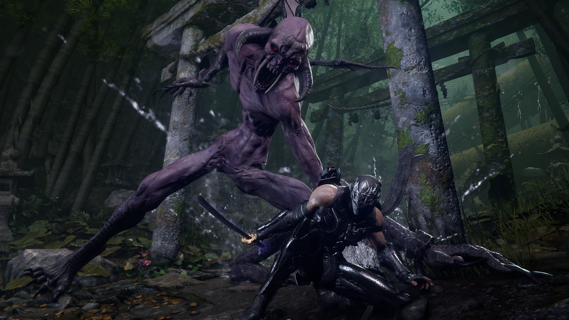 Lojë PS5 Xbox Game Studios Ninja Gaiden 4