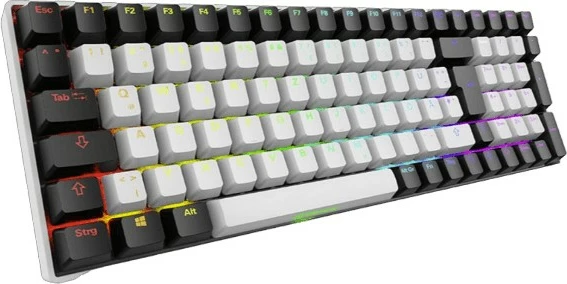 Tastierë mekanike Sharkoon SGK50 S2, Tenkeyless, Wired & Wireless, LED