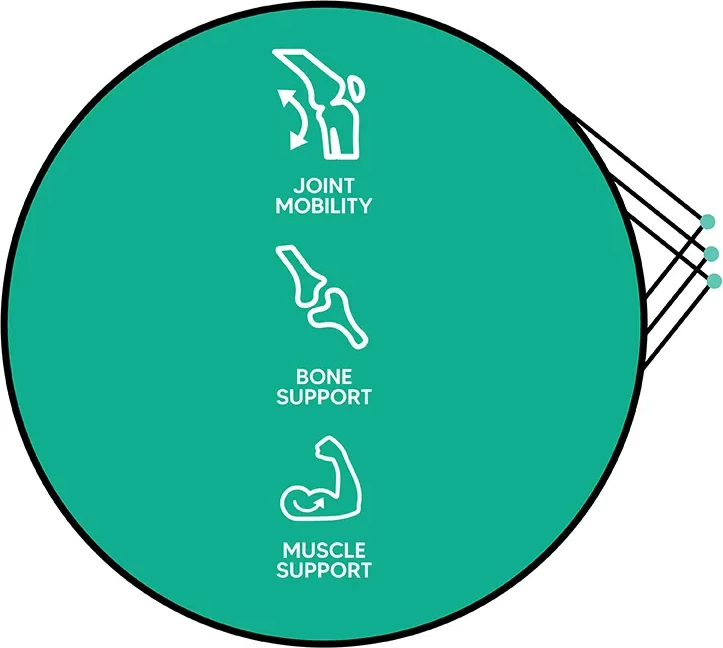 Collagen Superdose Joint Health