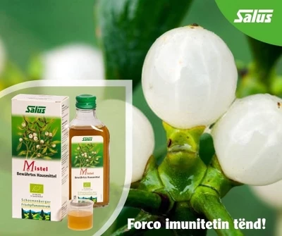 Lëng bimor për sistemin imunitar SALUS Mistel, 200 ml