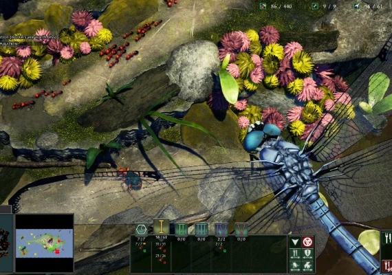 Empires of the Undergrowth EN/DE/RU/ZH/ES Global