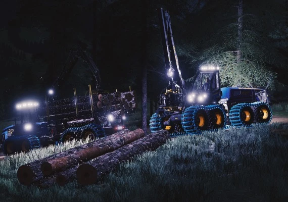 Farming Simulator 19 - Rottne DLC EN Global