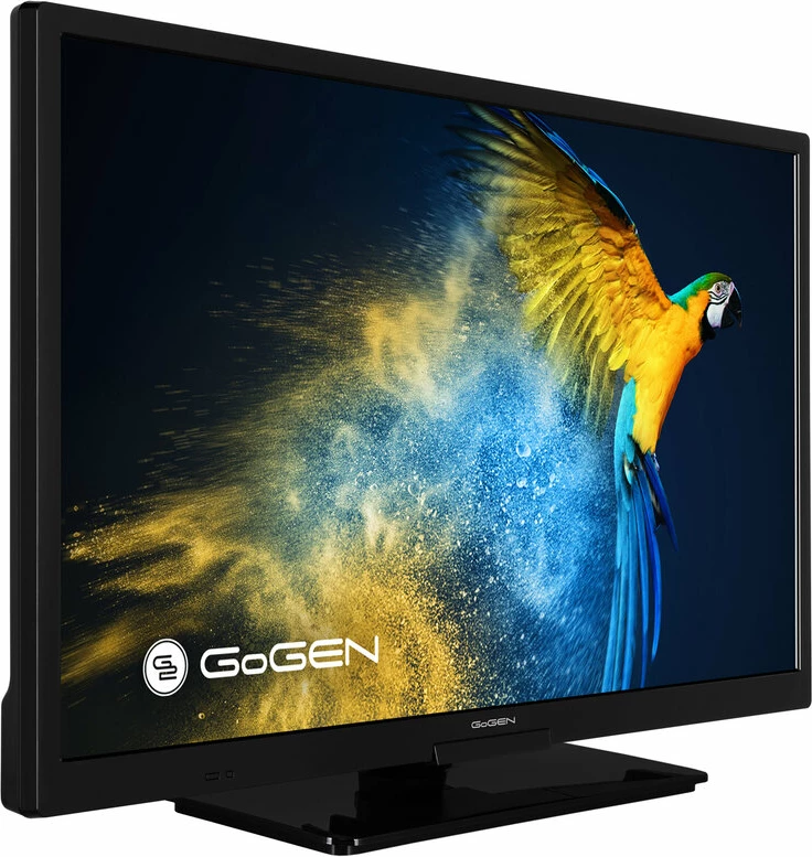 Televizor GoGEN Tv TVH 24M606 STWEB