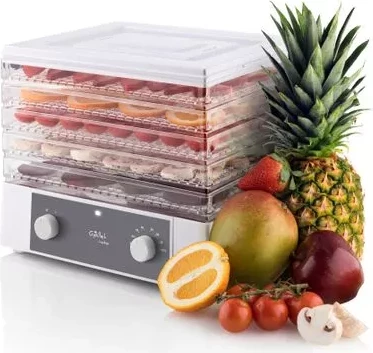 Gallet Food dryer DES 121