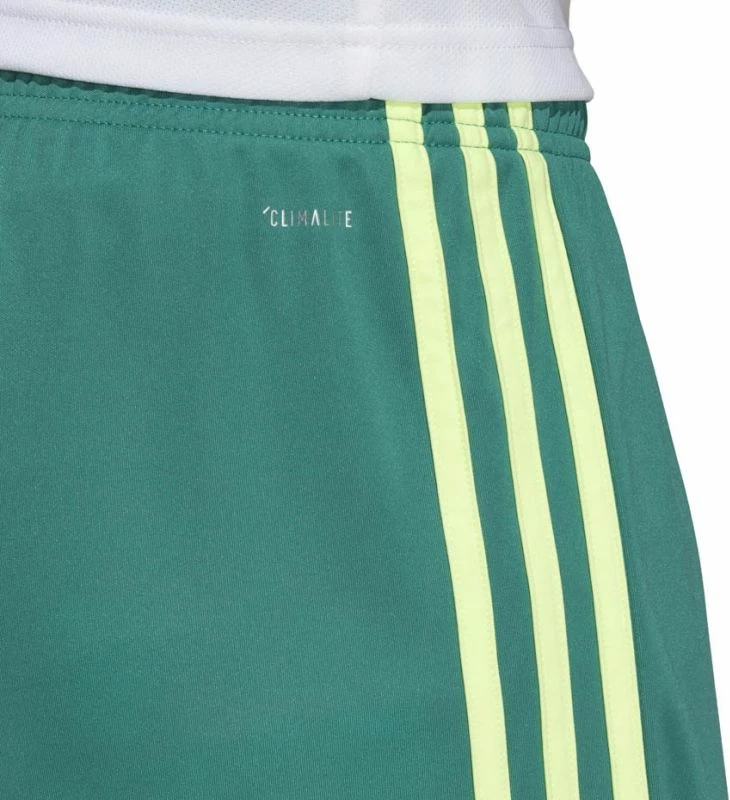 Atlete për meshkuj adidas Tastigo 19, të gjelbërta [Madhësia: S]